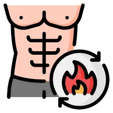 Fat Burning Metabolism Icon