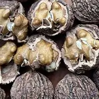 Black Walnut for glucose balance