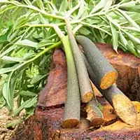 Glucomannan for post-meal glucose levels