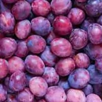 Plum Extract for sugar stability